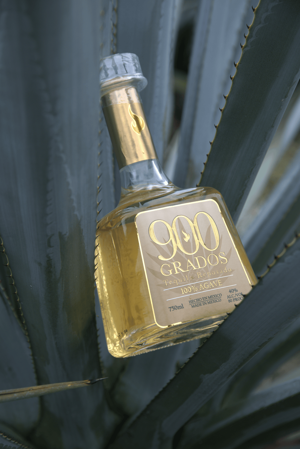 900 Grados Reposado Tequila